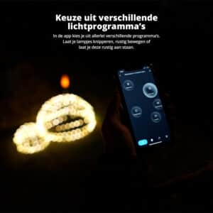 FlinQ Smart In- and Outdoor Lighting Ball - Afbeelding 5