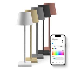 FlinQ Smart in- and Outdoor Nova Tablelight - Afbeelding 1