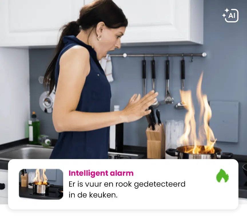 Rook en vuur detectie