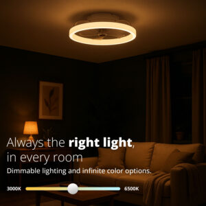 FlinQ Smart Ceiling Fan with Lighting AeroGlow - Image 9