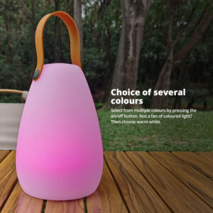 FlinQ Table Lamp with Remote Control Fiji - Image 3